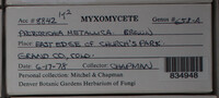 Image Associated With the Occurence
